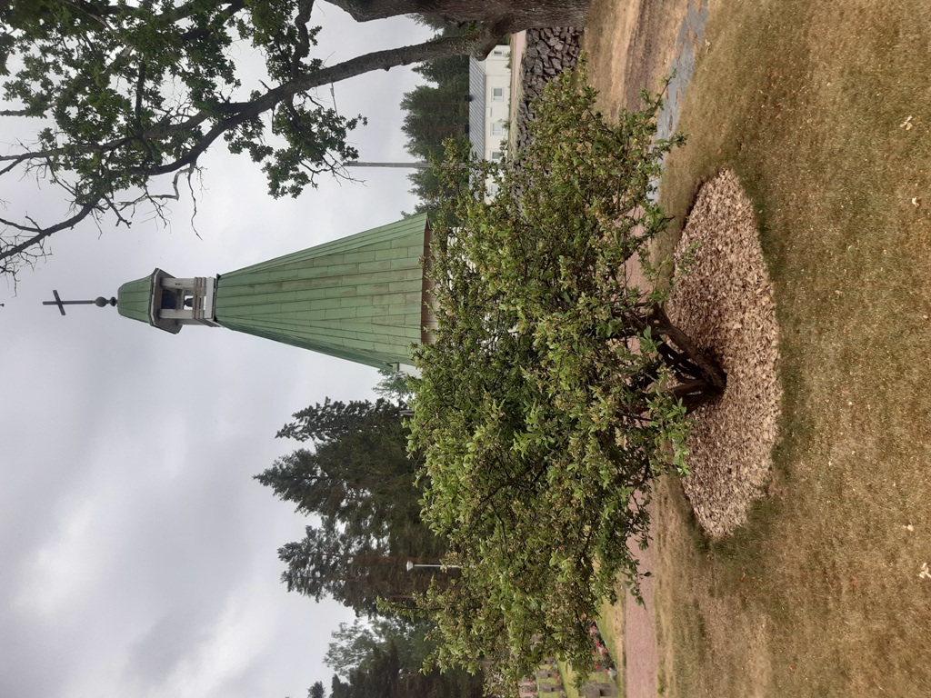 JP Höyläys - Lehtipuukate koristepinnaksi