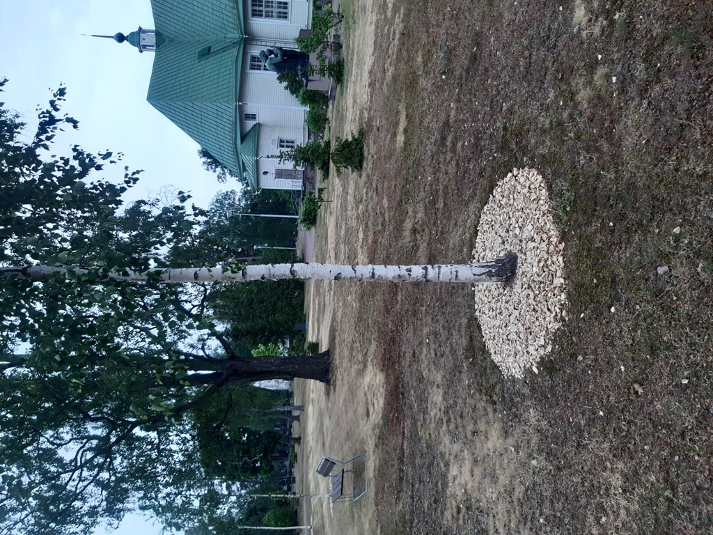 JP Höyläys - Lehtipuukate koristepinnaksi