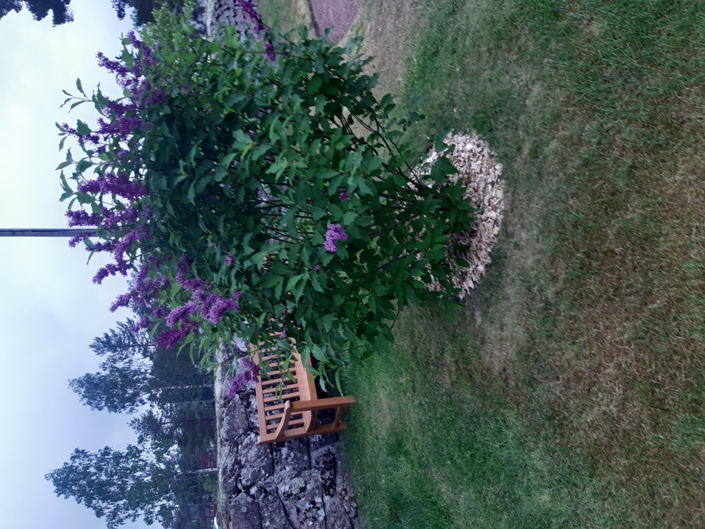 JP Höyläys - Lehtipuukate koristepinnaksi